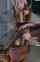 camgirl amateur teen