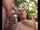 teen orgy rough