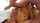 asian wife hotwife