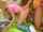 april blonde teen