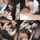 jav asian japanese