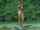 hitchhiking nude public