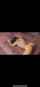 hotbody perfectbody bbc