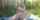 ersties nude nature public