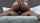 ebony curvy black
