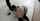 maledom bdsm crawling