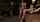 kink public disgrace strap on