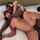 ebony backshots bbc