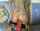 blonde anal extreme