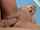 reverse cowgirl riding blonde