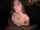 camgirl amateur bbc