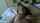 natural tits masturbation cute