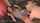 lesbian lesbians naughty tinkerbell