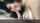 blowjob brunette sucking