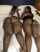 ass ebony milf