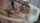 outside big tits big ass