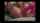dildo solo masturbation