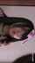 cute girl japanese jav