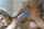 camgirl doggy blonde