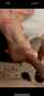 deepthroat brunette latina
