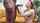 deepthroat interracial eden ivy