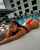 ebony ass amateur