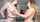 amateur camgirl lesbian