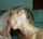 blonde blowjob deepthroat