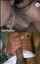 asian cheating glasses