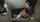 jav bathroom quickie