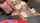 blowjob masturbation straight