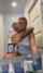 amateur anal milf