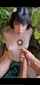 blow job female cum