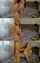 camgirl amateur teen
