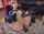 camgirl amateur machine