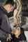 ilona fox james brossman blowjob