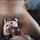 bbc blowjob oral sex