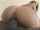 camgirl cowgirl interracial
