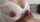 milf tits titsjob