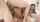 gangbang black girl ebony