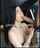 blowjob latina pale