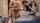 jav japanese milf
