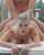 big tits blonde facing camera