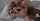 chinese jav bbc