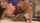 jav sex asian