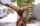 jules jordan brunette ass