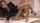 sex asian jav