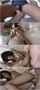 hairy pussy sex on a bed boy girl sex