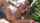 teen pool brunette