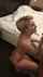 blonde hotel blue eyes